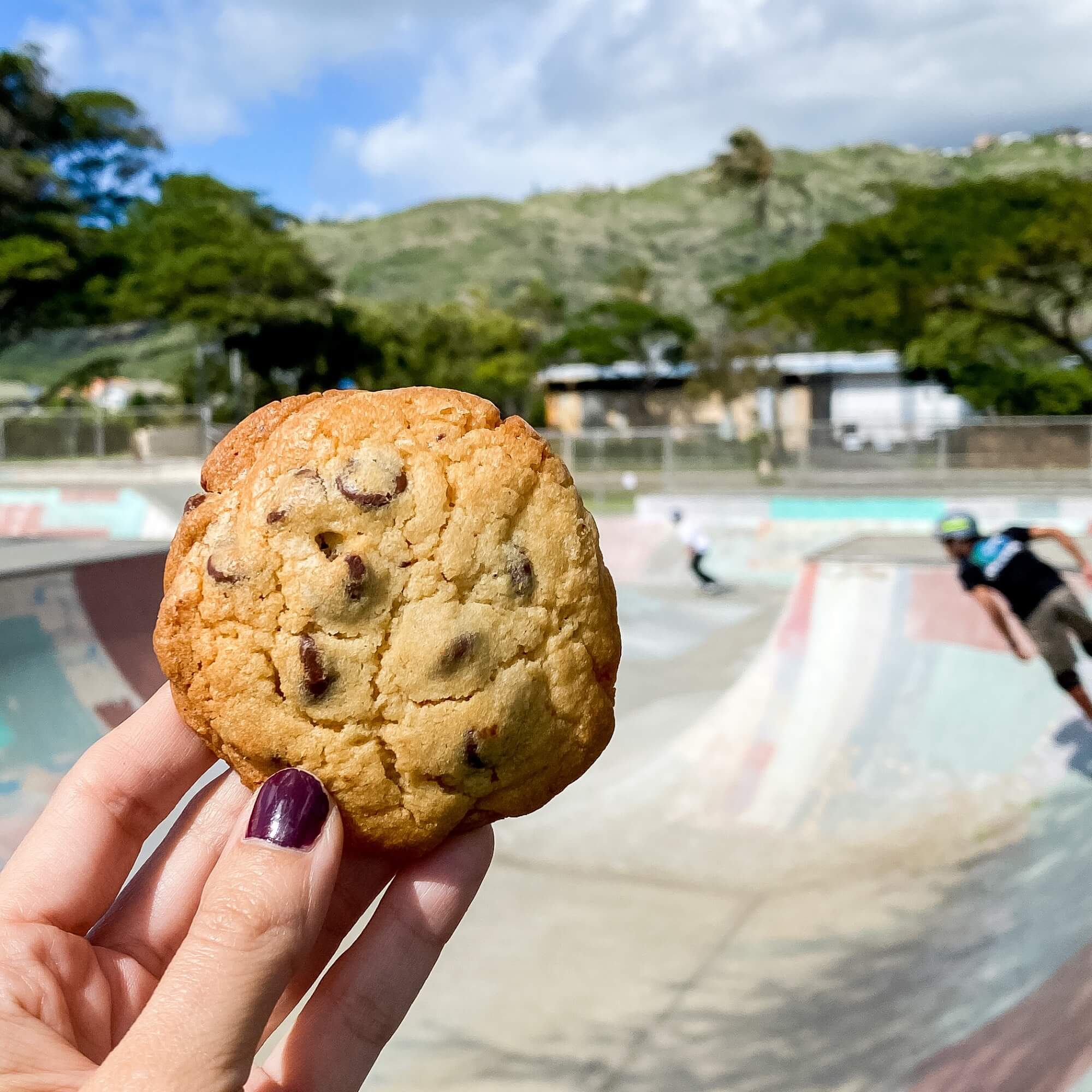 Original Size Chocolate Chip - Image 3